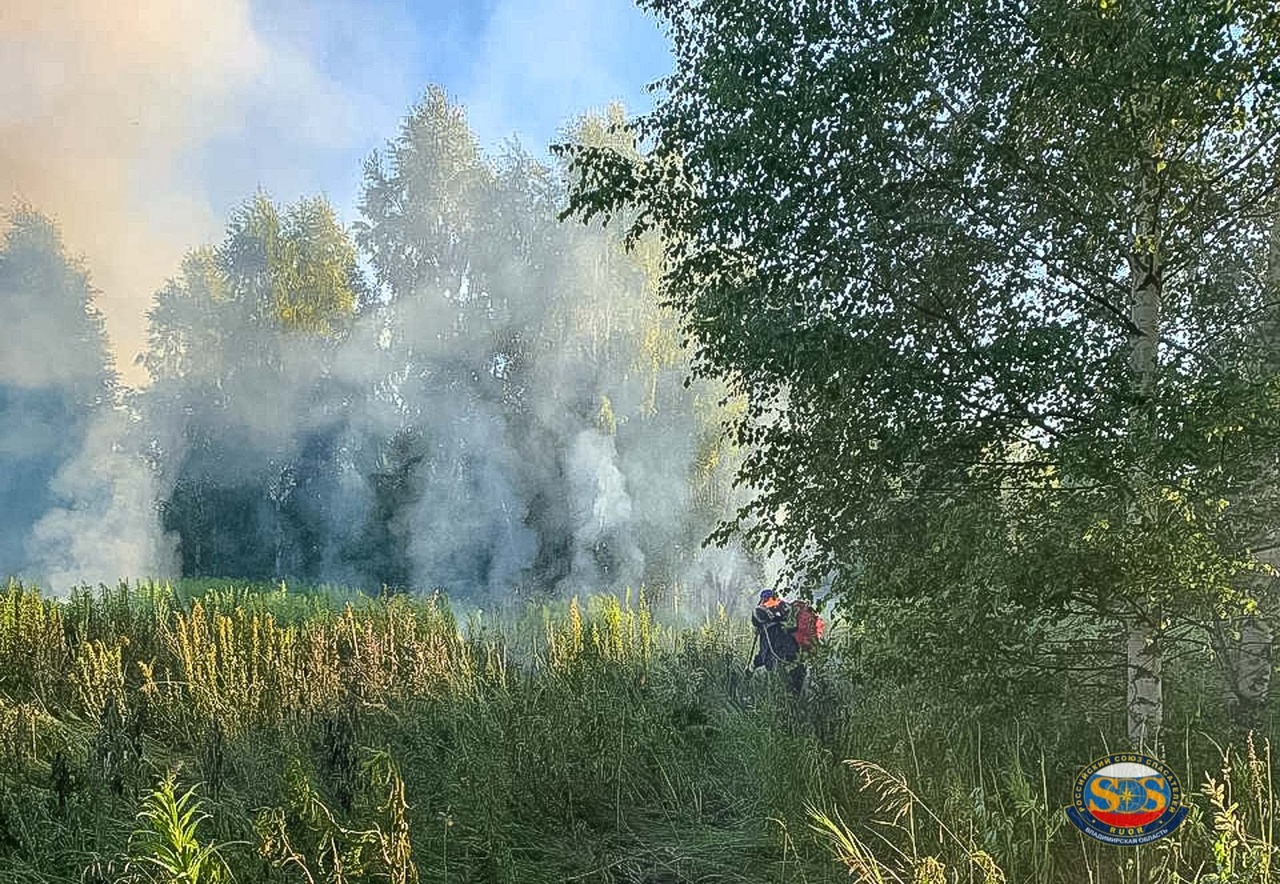 Во Владимирской области спасатели потушили пал травы 