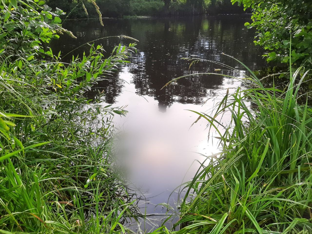 Следком проводит проверку по факту гибели мужчины на водоеме во Владимирской области 