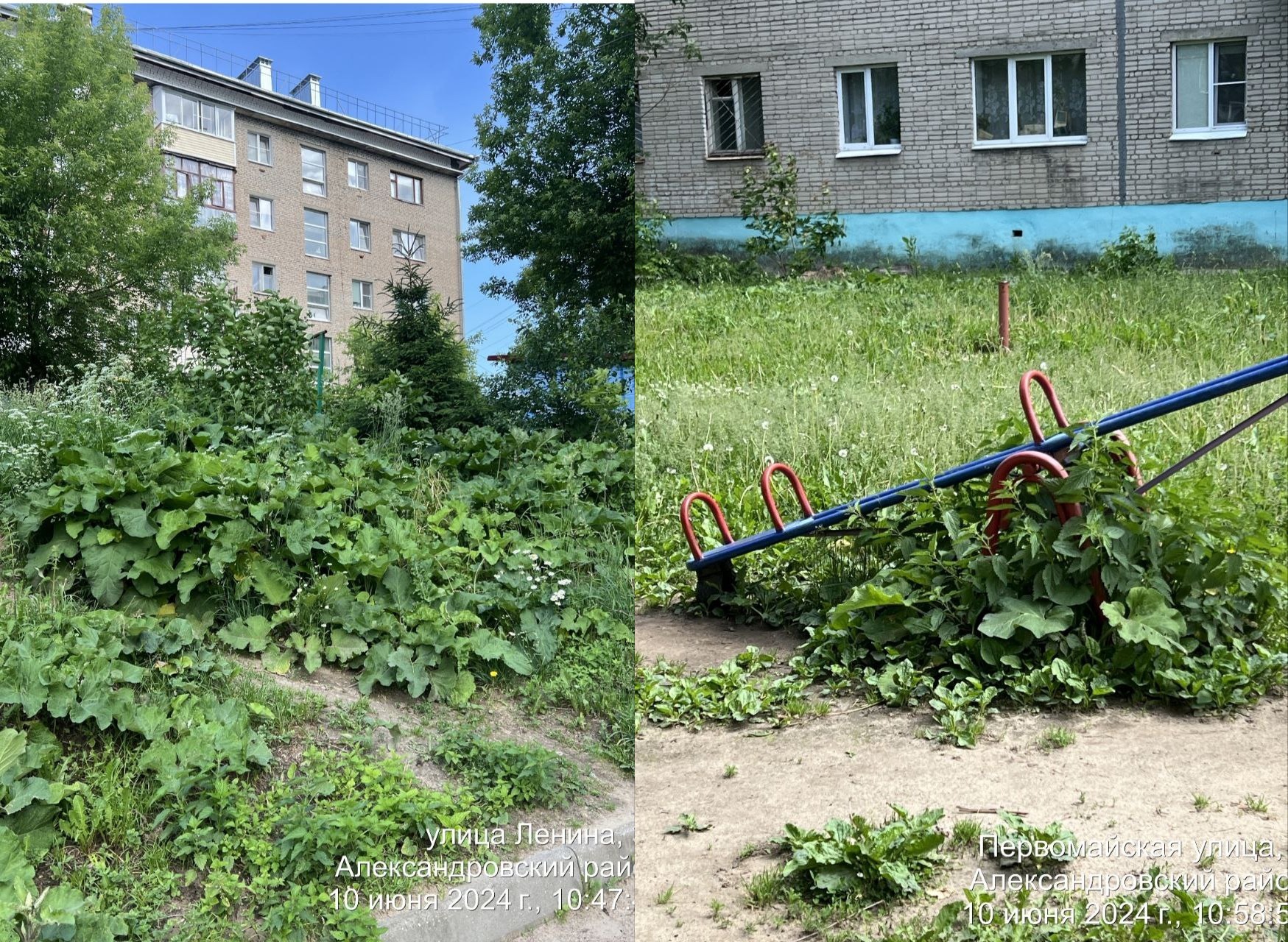 Прокуратура проверила в Александрове соблюдение норм летней уборки придомовых территорий