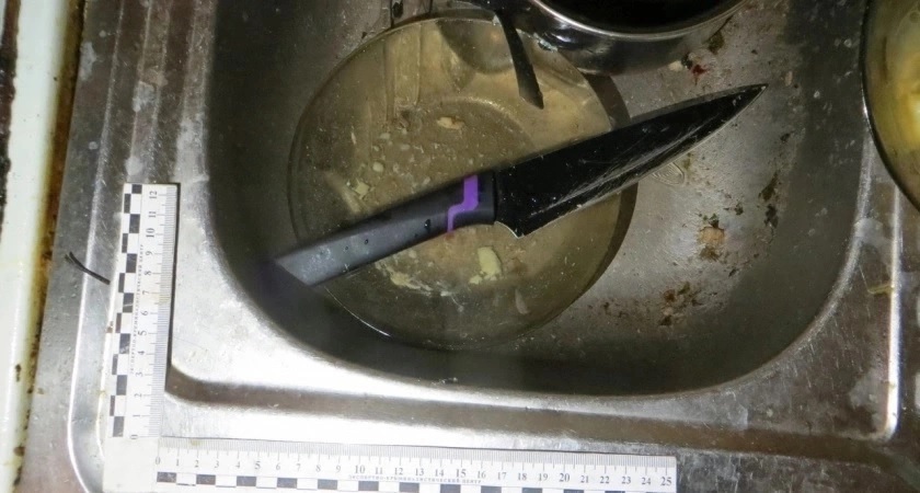 Во Владимирской области мужчина ударил знакомого ножом за то, что тот выгнал его из квартиры 