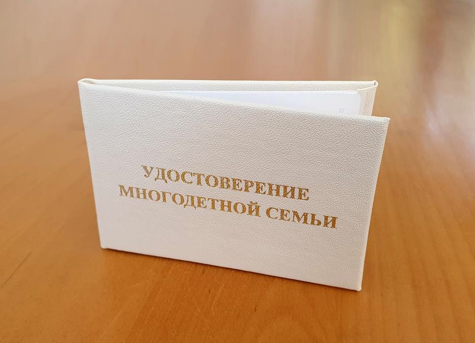 Во Владимирской области начнут выдавать новые удостоверения для многодетных семей