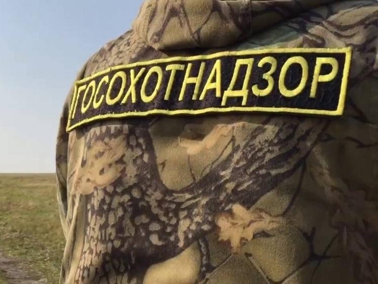 За полгода во Владимирской области выявлено 10 фактов браконьерства