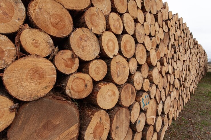 Житель Владимирской области незаконно вывозил хвойную древесину в Литву 