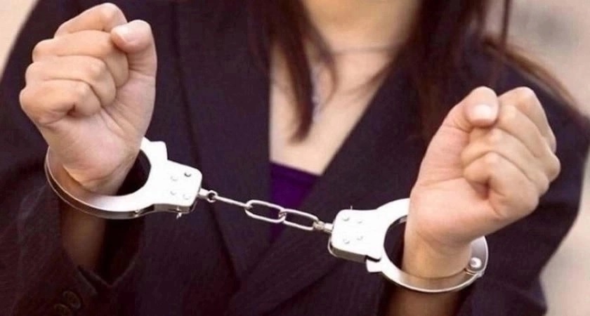 Во Владимирской области задержали 29-летнюю безработную за мошенничество и кражу