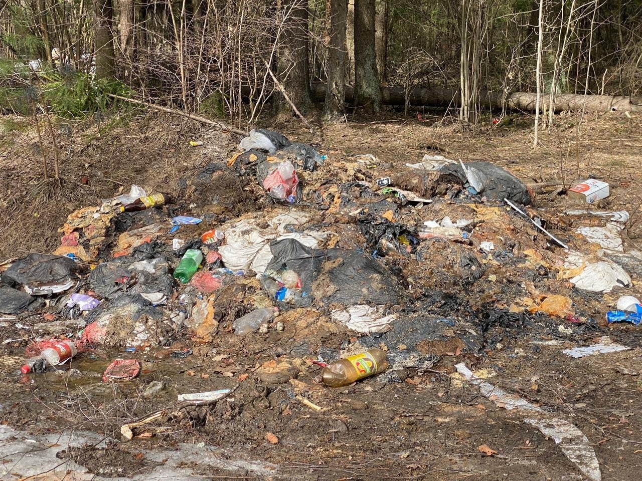 Во Владимирской области обнаружили свалку с останками мелкого рогатого скота
