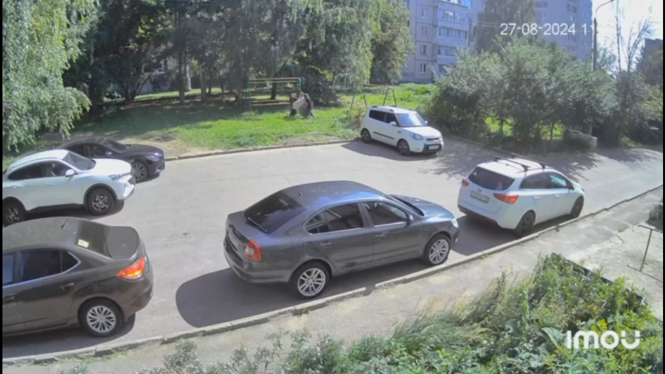 Во Владимире подростки украли ковер