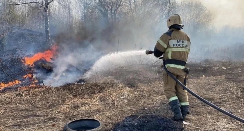МЧС призывает нас не посещать леса в ближайшие несколько дней 