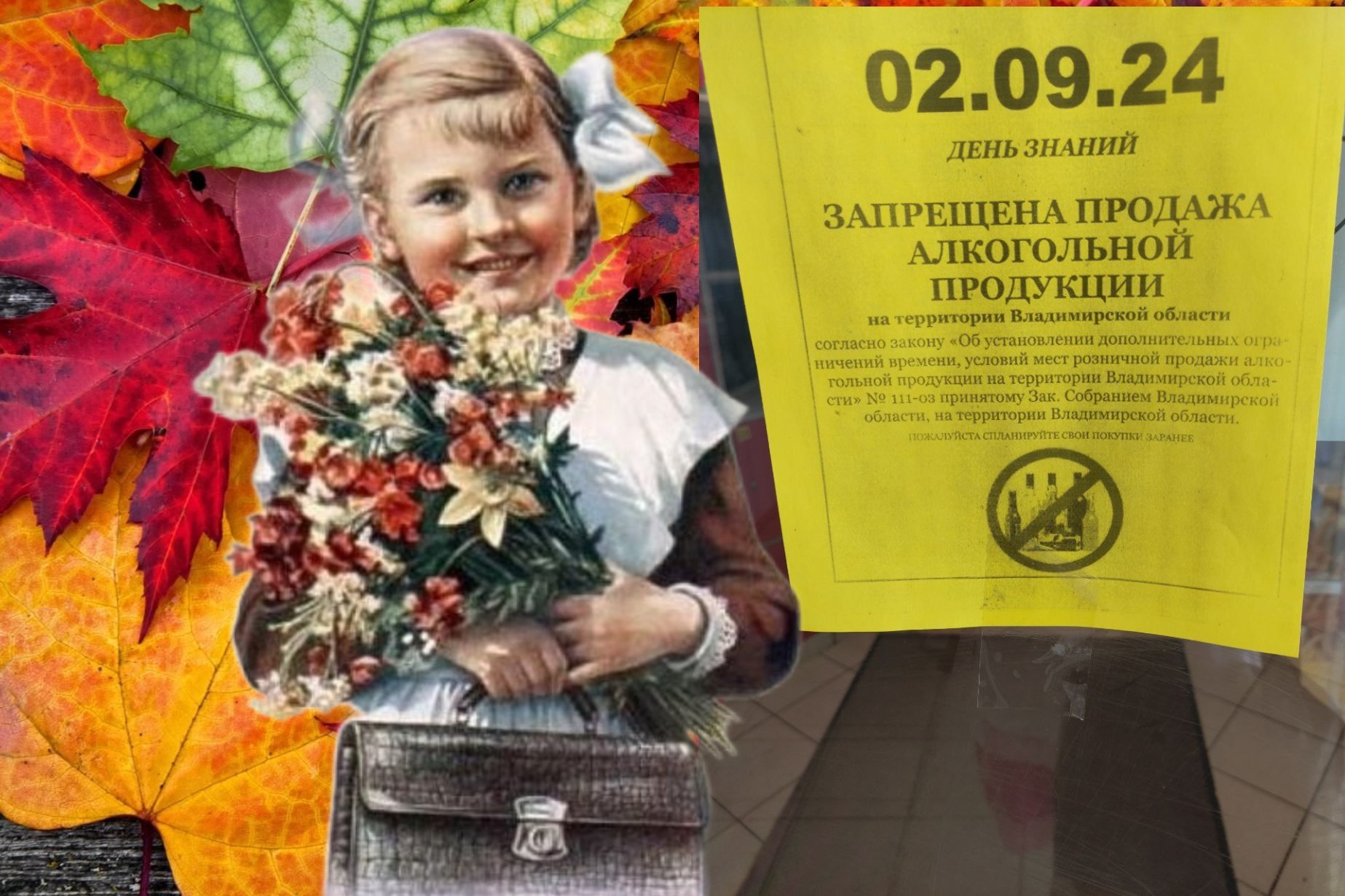 Внимание, 2 сентября во Владимирской области - «сухой день»