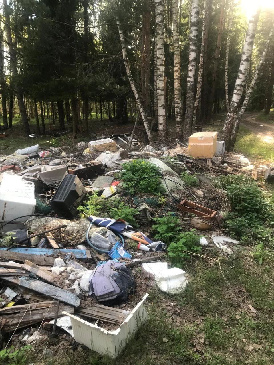В лесу в Судогодском районе устроили безобразную свалку