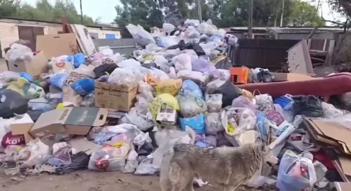 Жители Киржача пожаловались на огромную гору мусора