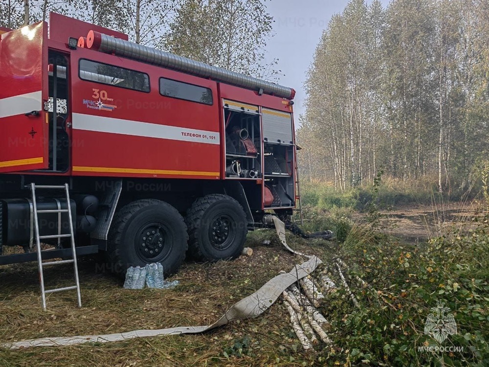 Сотрудники МЧС тушат торфяной пожар в Гусь-Хрустальном районе
