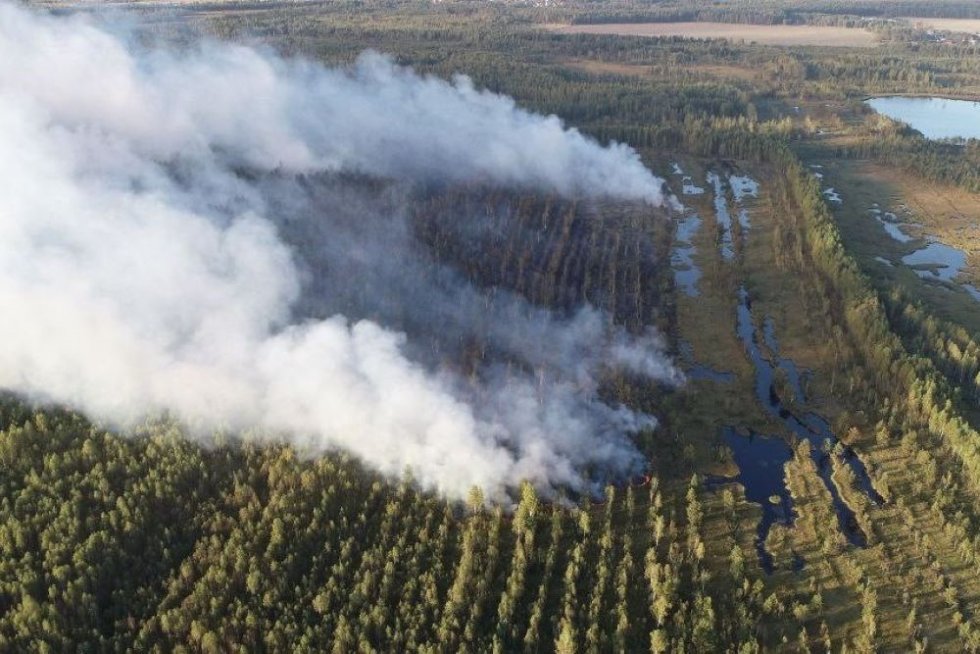 В Камешковском районе лесной пожар тушат 75 человек