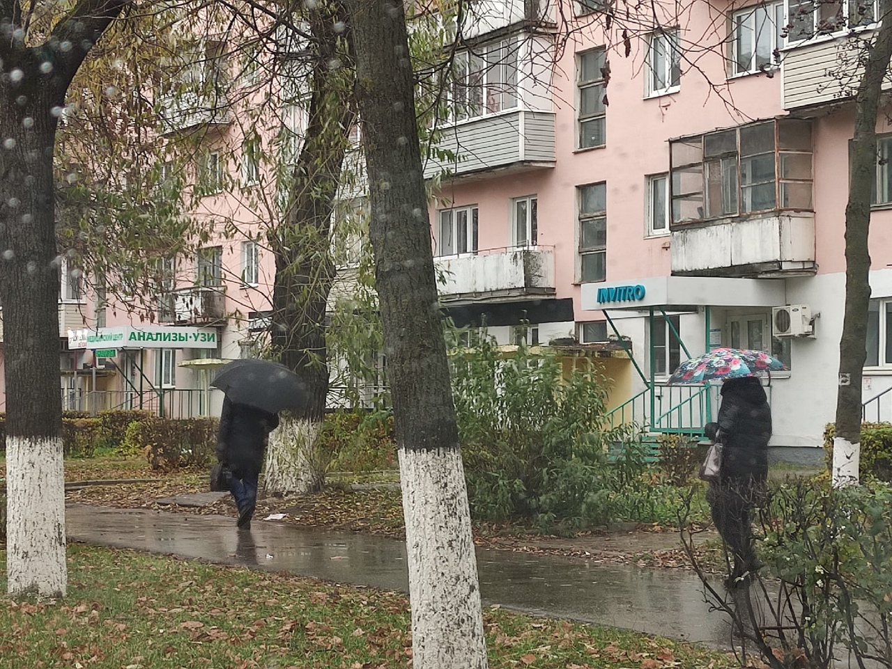  шокирующий прогноз на октябрь