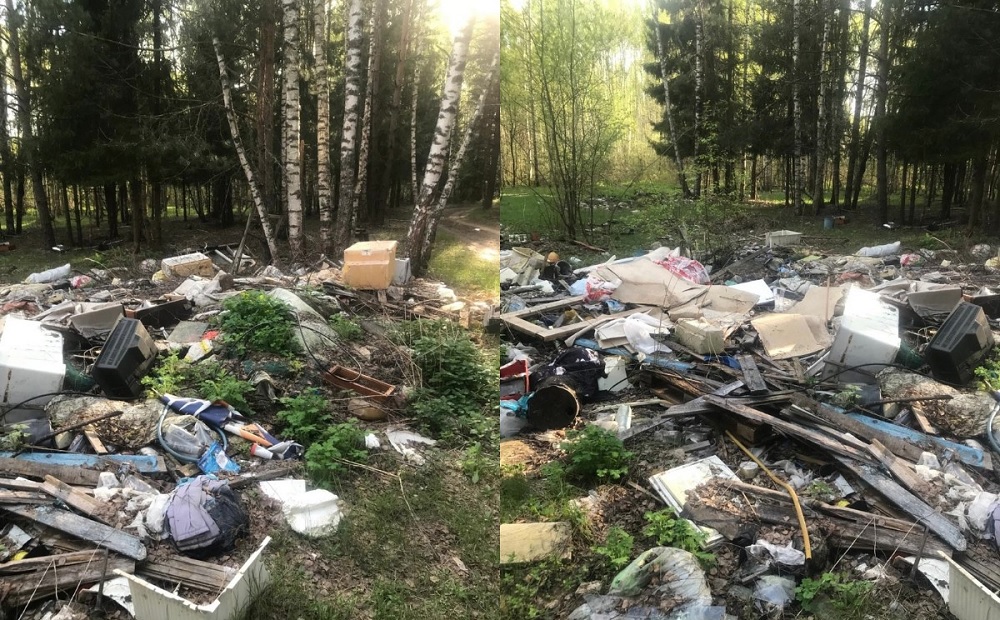 В лесу в Судогодском районе появилась огромная свалка бытовых отходов 