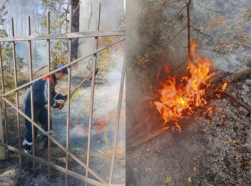 На кладбище Улыбышево под Владимиром произошел ландшафтный пожар 