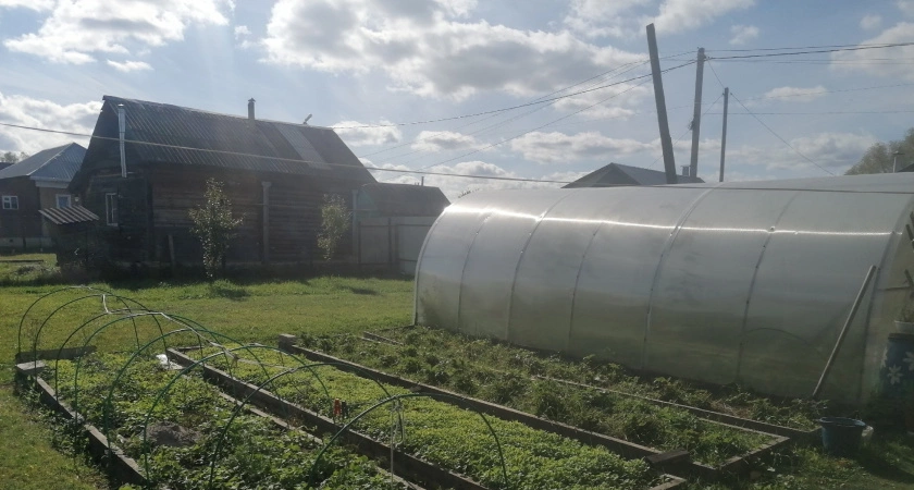  дачникам на заметку