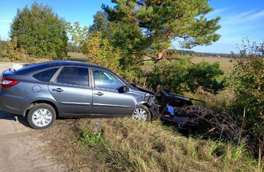Во Владимирской области в результате ДТП пострадали 7 детей 
