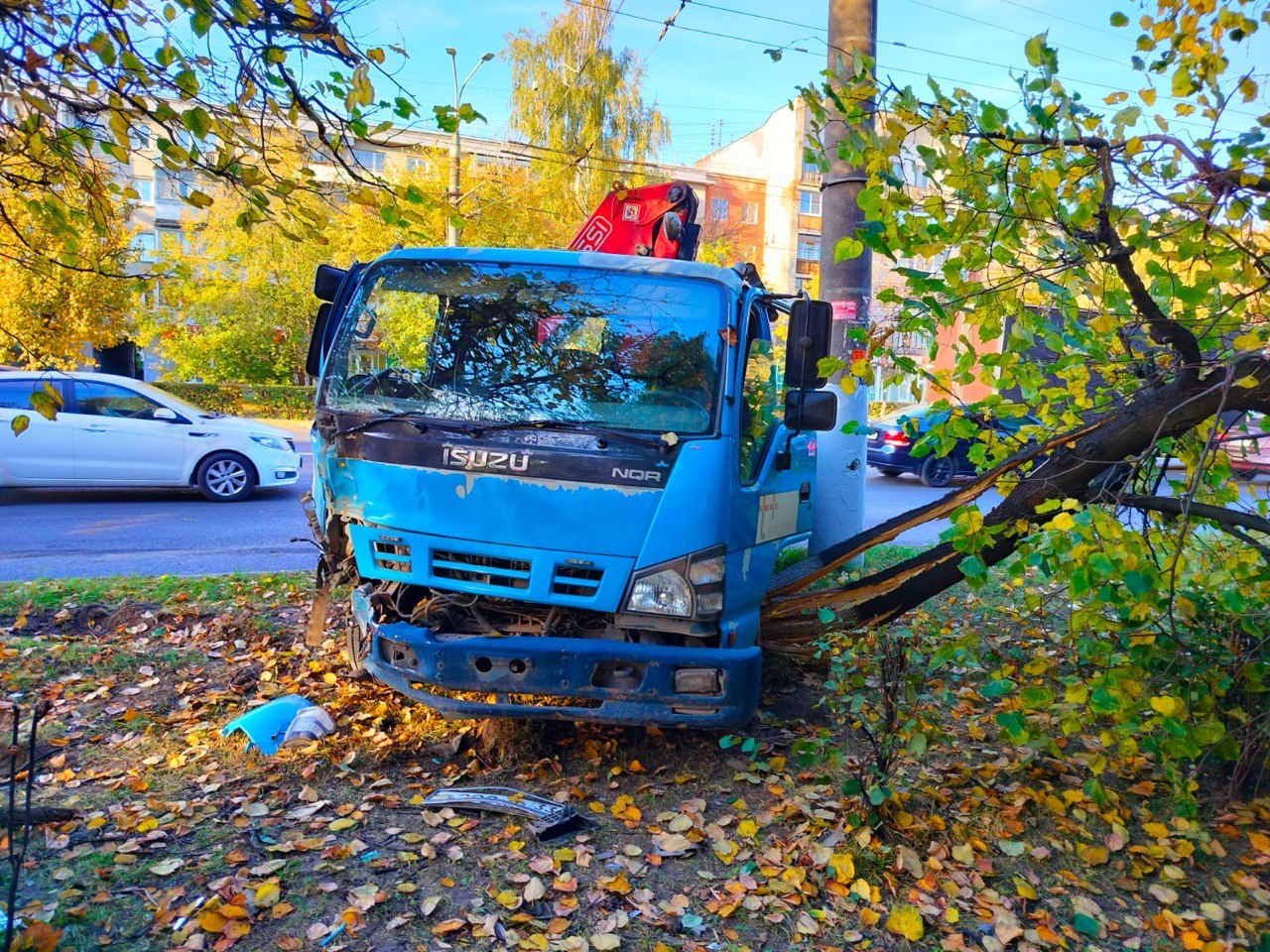Во Владимире манипулятор вылетел на газон и снёс дерево