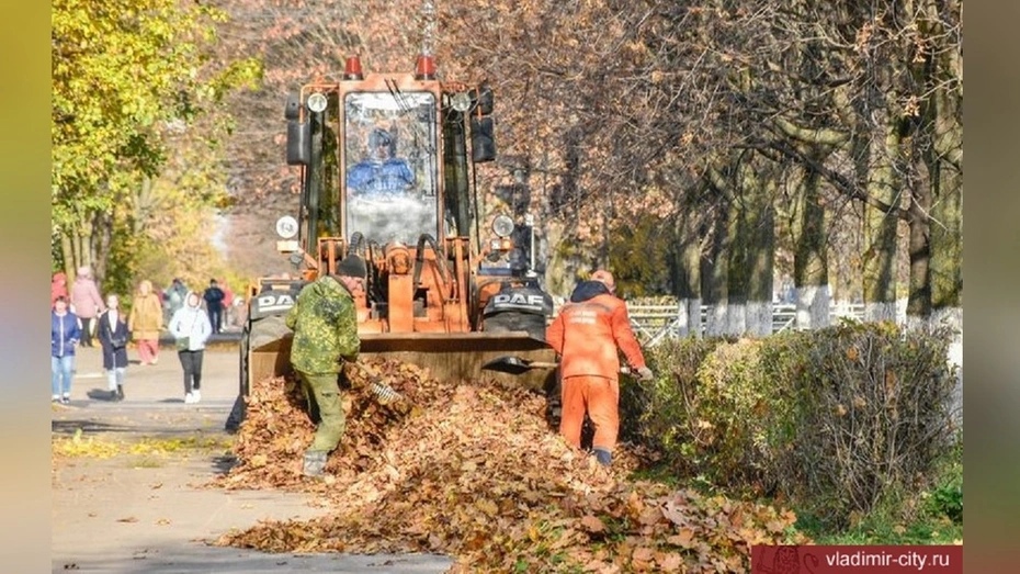 Во Владимире вывезли 60 тонн листвы и мусора за неделю