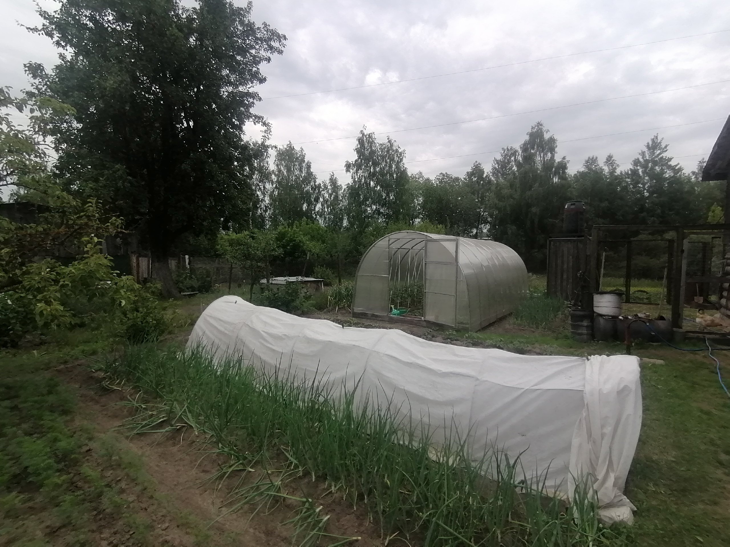 это следует сделать всем дачникам