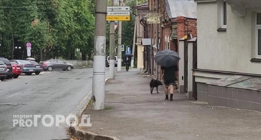 Жители Владимирской области за неделю отдали мошенникам около 40 миллионов рублей