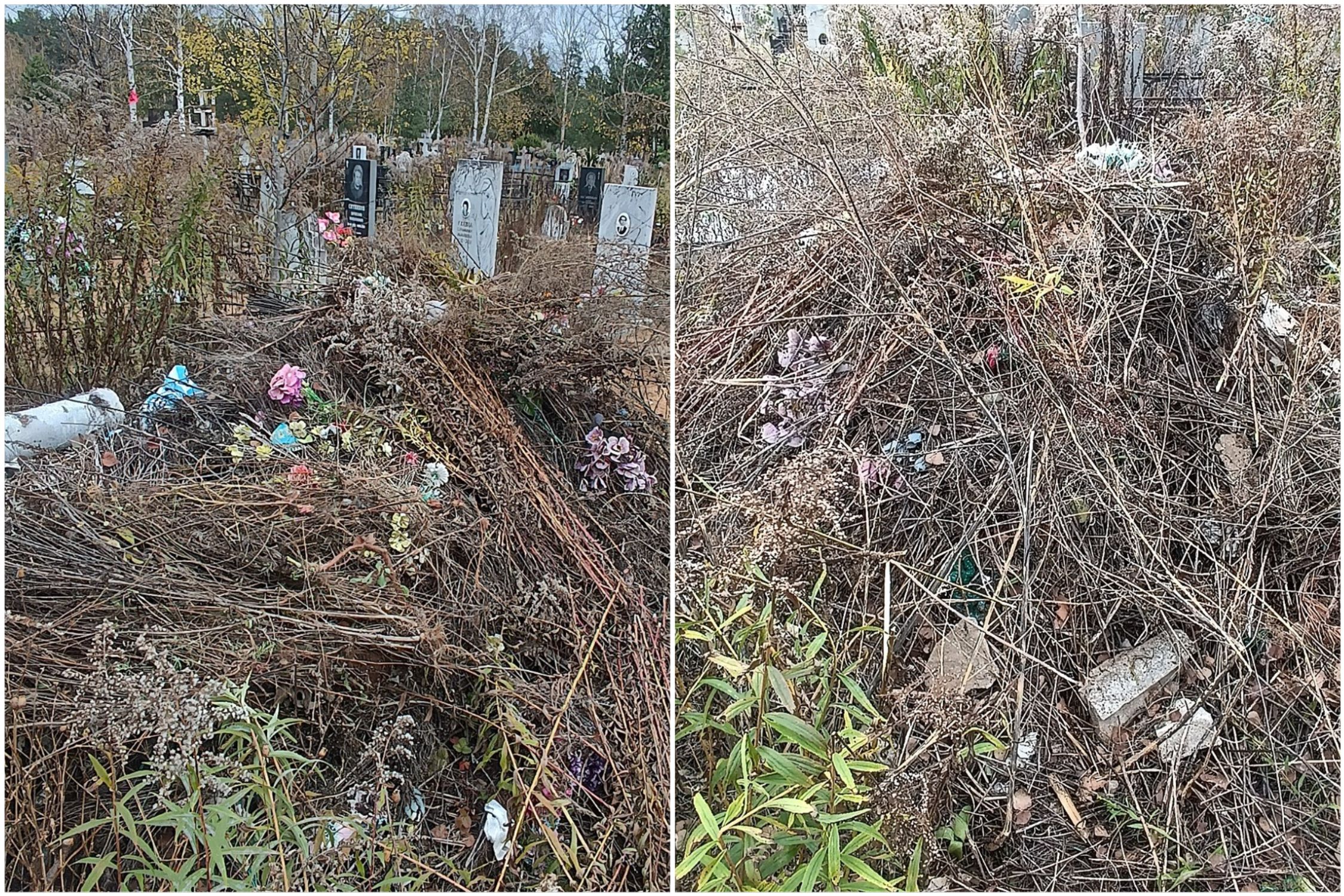 В "Улыбышево" прямо на могилах организовали свалку мусора 