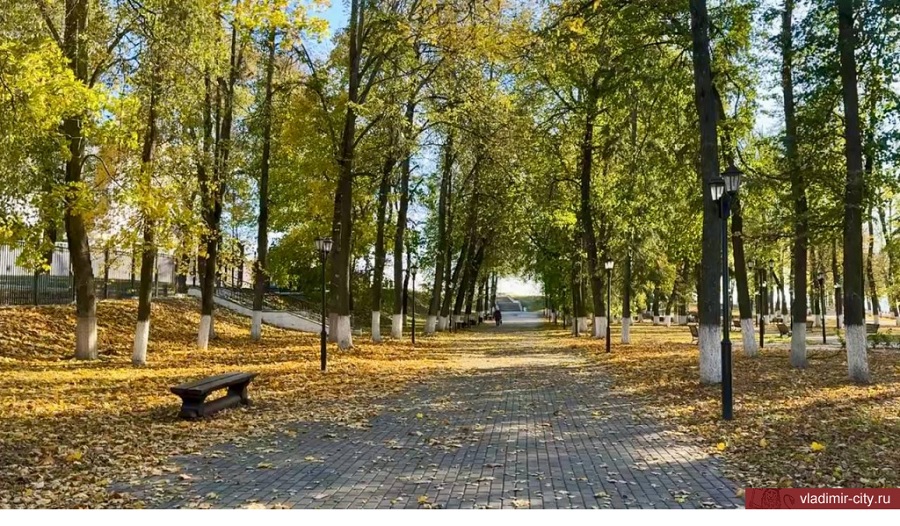 С ноября обслуживать городские общественные пространства во Владимире будет "Зеленый город"