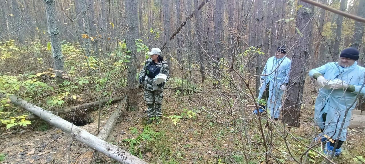 В лесах региона обнаружили волчью метку, сделали ремонт для зубров и провели профилактику бешенства