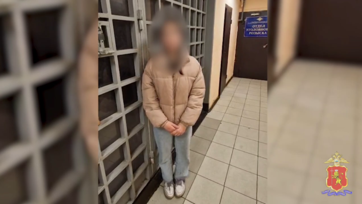 Владимирка, пошутившая над терактом в «Крокусе», второй день ездит на допросы