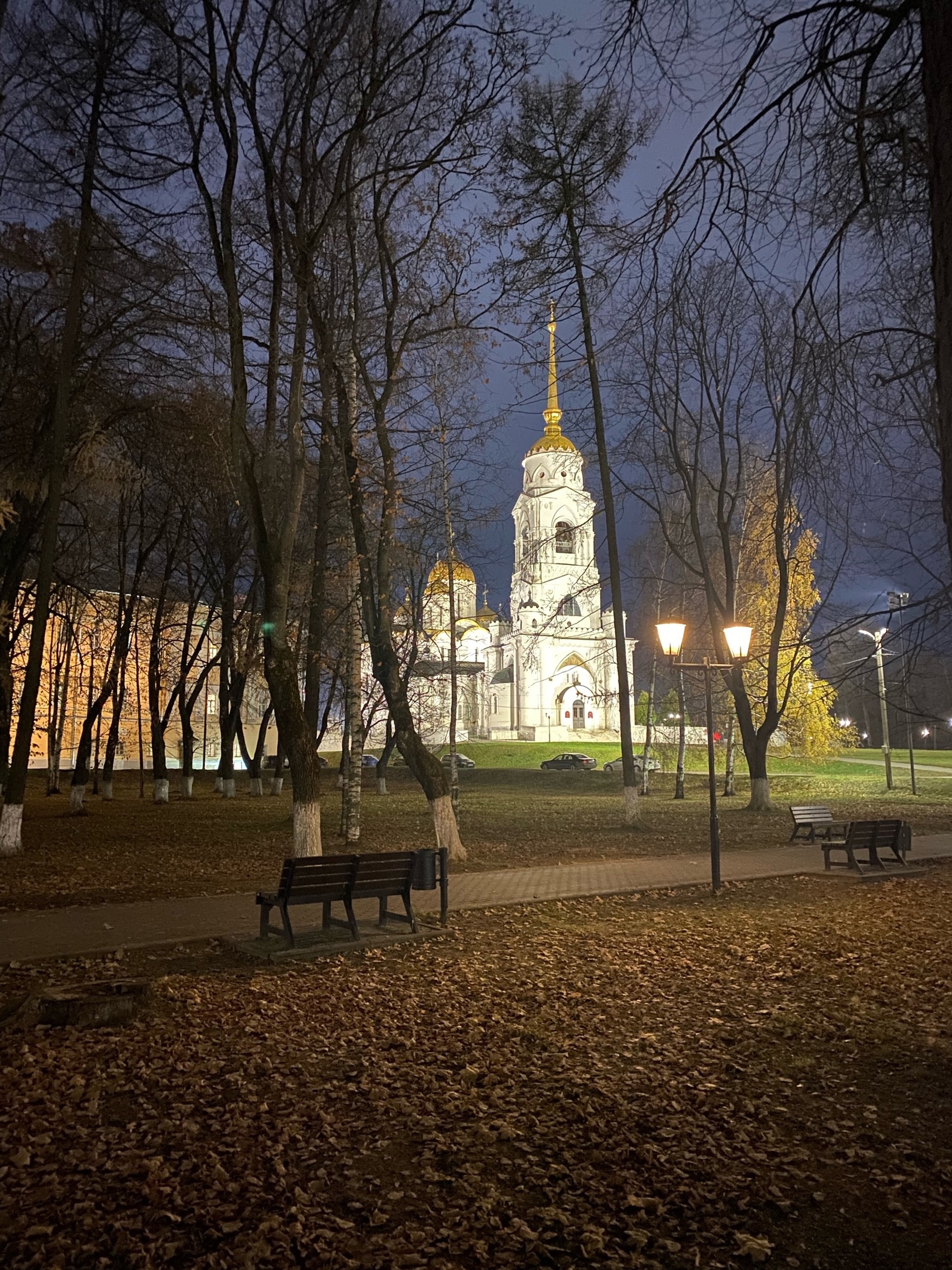 Во Владимирской области могут сделать выходным 28 декабря