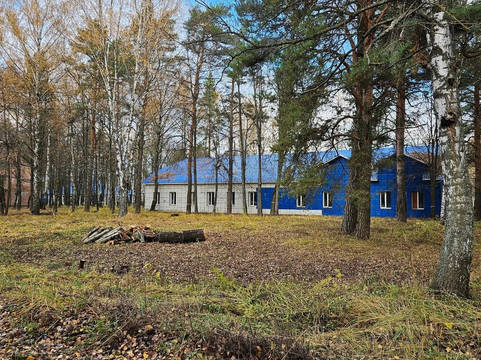В Суздальском районе появится круглогодичный детский лагерь