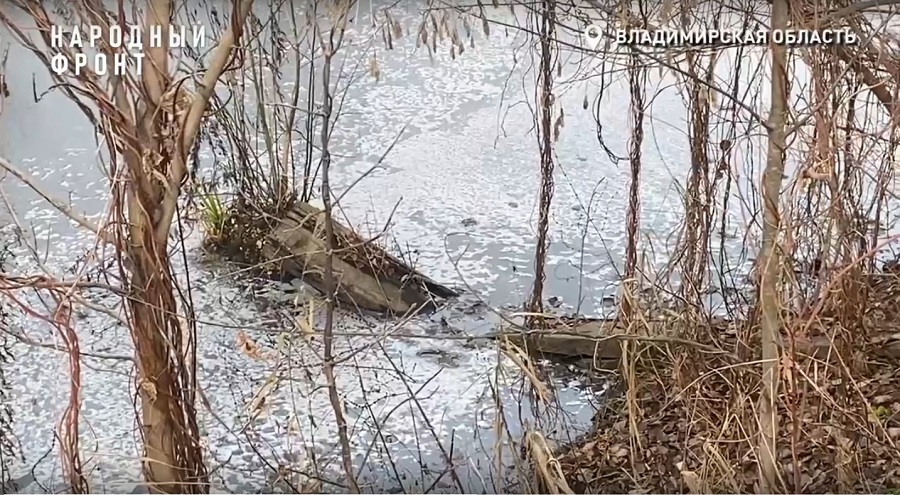 Во Владимире неизвестные сбросили отходы в озеро вблизи Мелькомбината