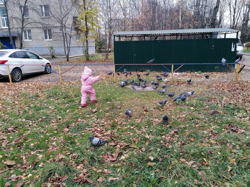  владимирская малышка из-за убеждений родителей 2,5 года жила без документов 