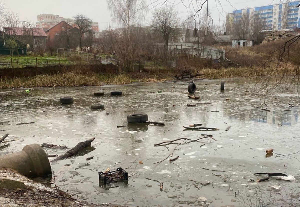 "Для кого старались?": Красносельский пруд в Добром вновь забросали мусором через 3 месяца после уборки