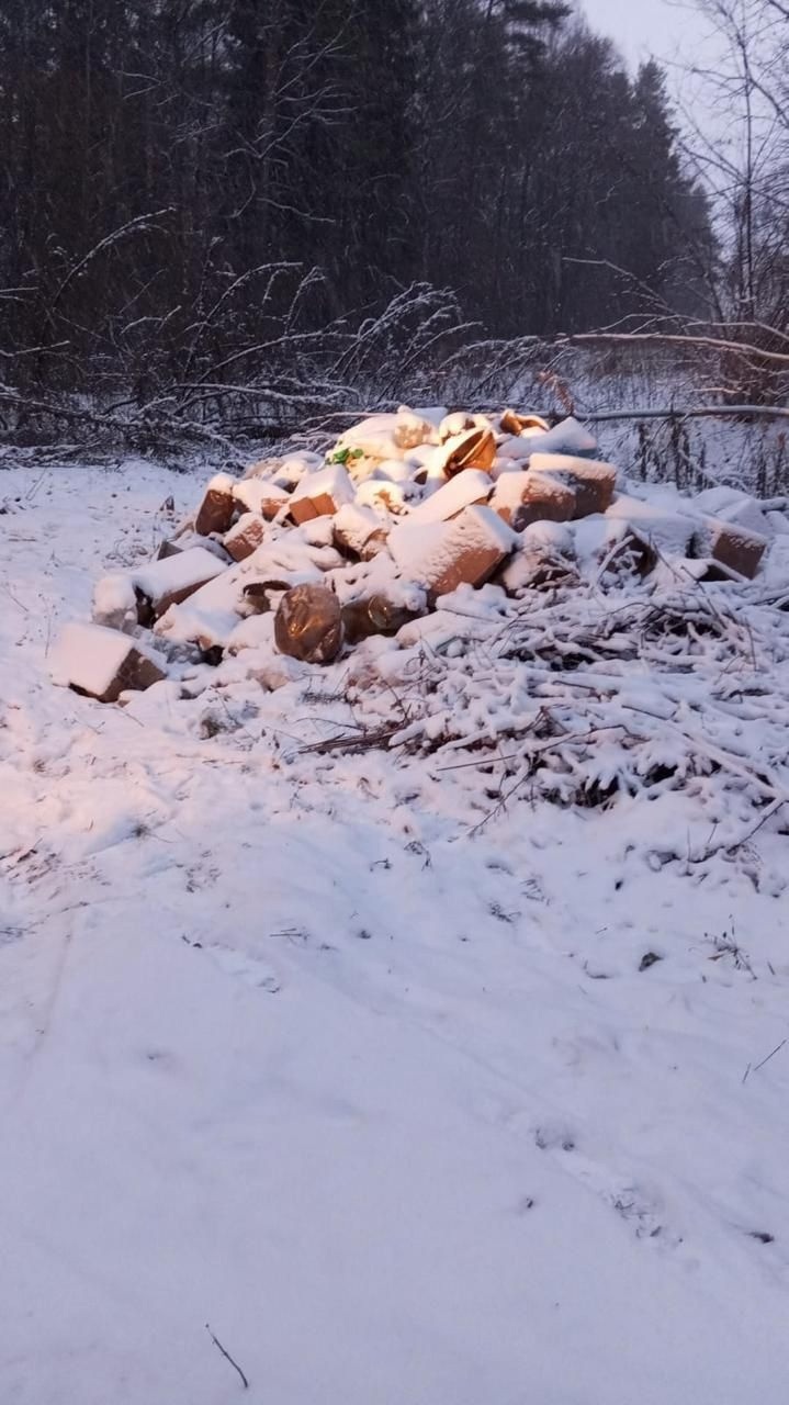 Во владимирском парке «Дружба» ликвидировали свалку