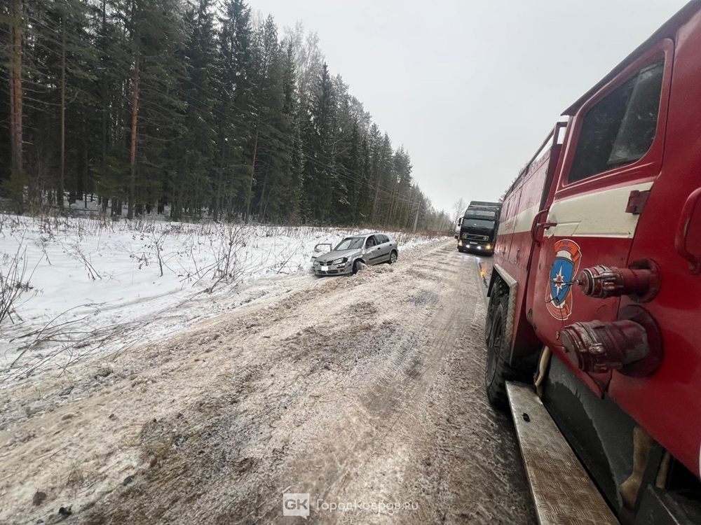  25-летняя девушка погибла в ДТП в Ковровском районе 