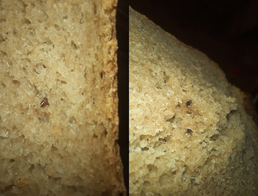 Жители Мурома едва не наелись хлебом с запахом бензина и жуками 