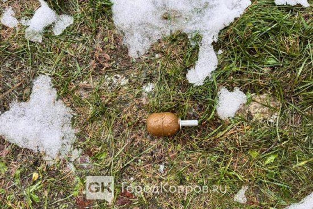 Жители Коврова обнаружили гранату на детской площадке 