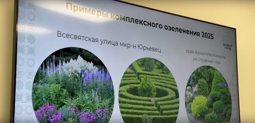 Во Владимире в этом году планируют высадить до 1 млн зеленых насаждений