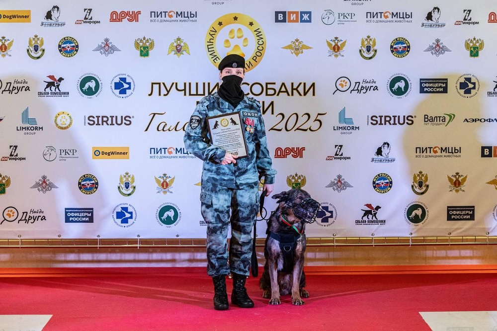 Владимирский кинолог и ее напарник Яр признаны лучшими в России 