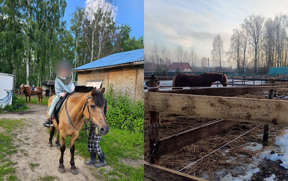  В Киржачском районе осудят хозяйку конного центра за травму 10-летней девочки 