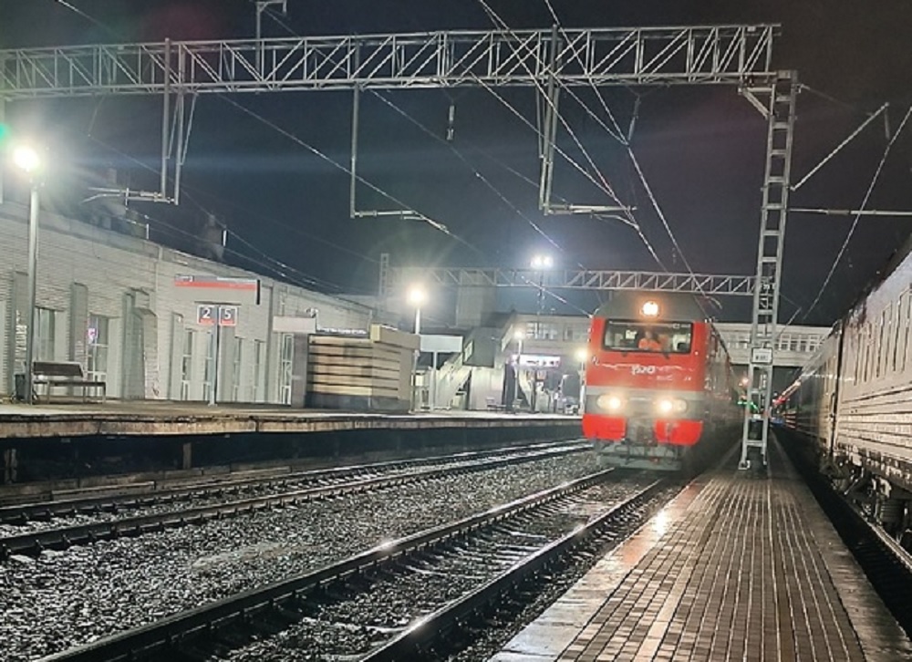 Шесть нарушителей порядка сняты с поездов во Владимирской области