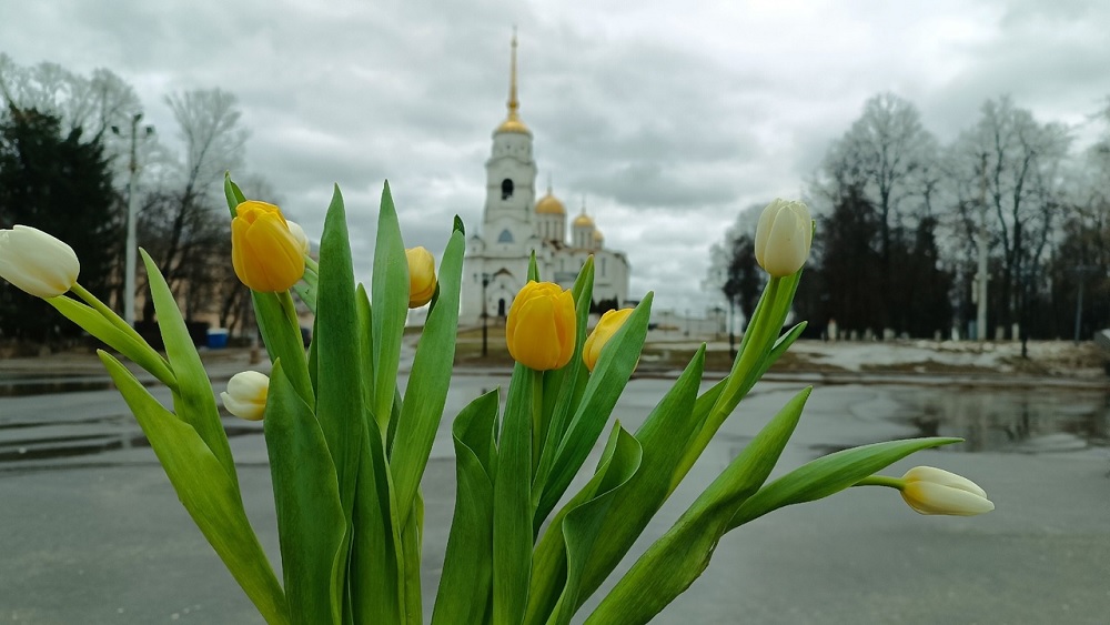 Владимирские женщины рассказали о самых неожиданных подарках на 8 Марта