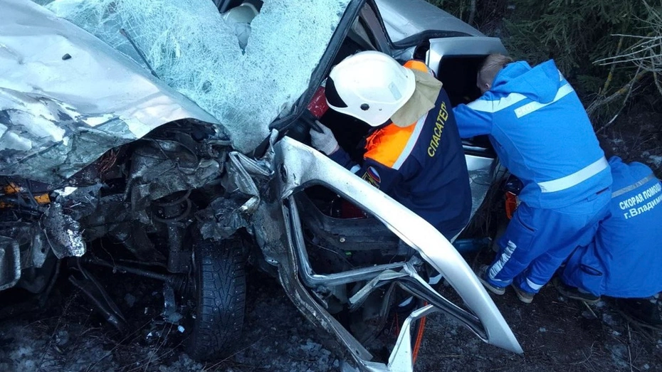 Во Владимирской области в ДТП на трассе пострадали 3 взрослых и 2 ребенка