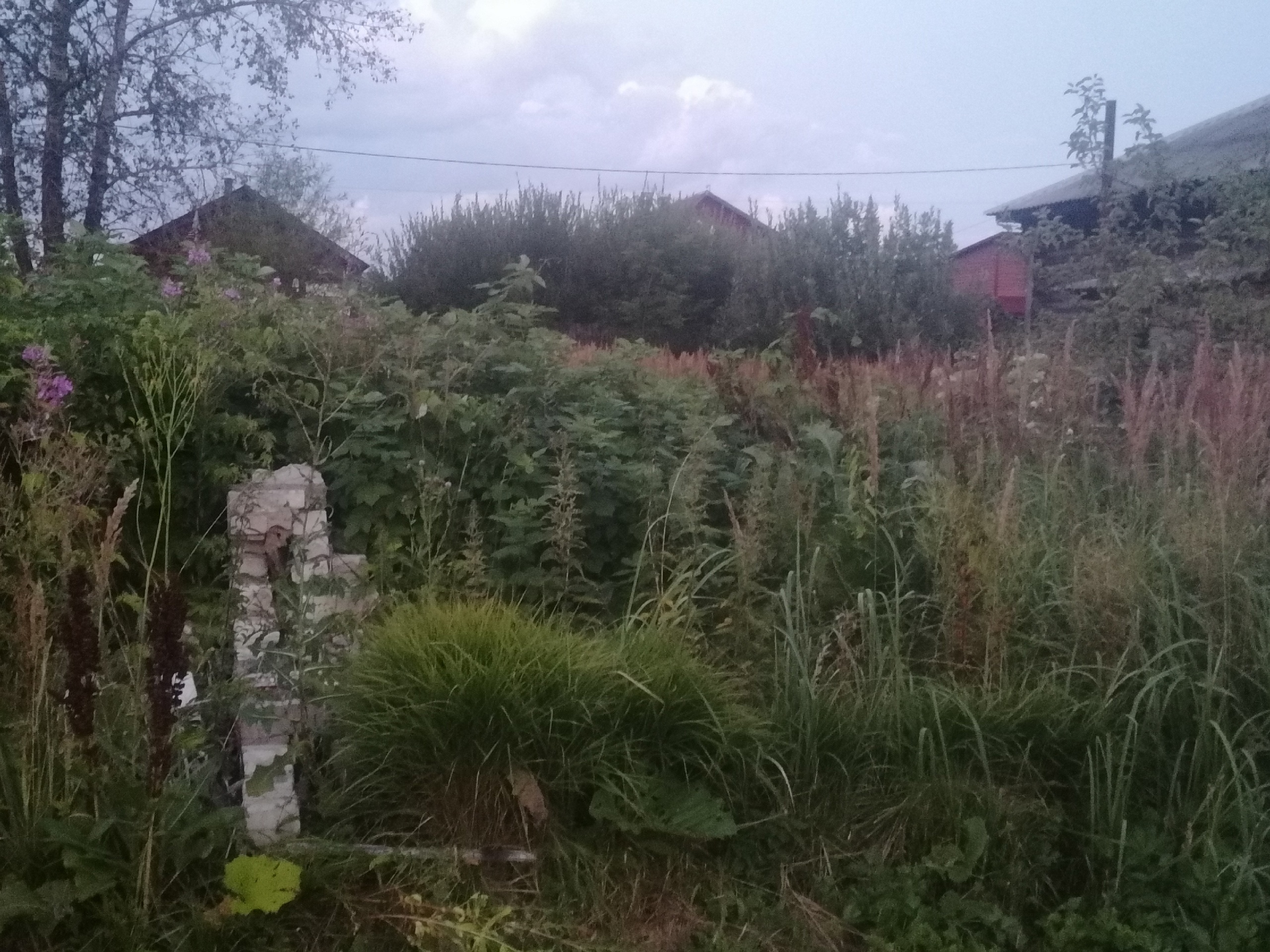 Во Владимирской области многодетная семья получила земельный участок без дороги