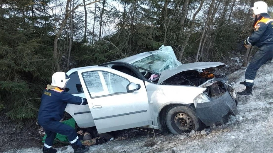 В Судогодском районе после ДТП с 5-ю пострадавшими завели уголовное дело