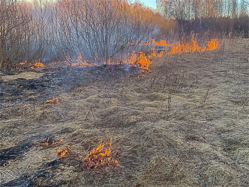 В Камешковском районе ликвидировали два очага возгорания сухой травы