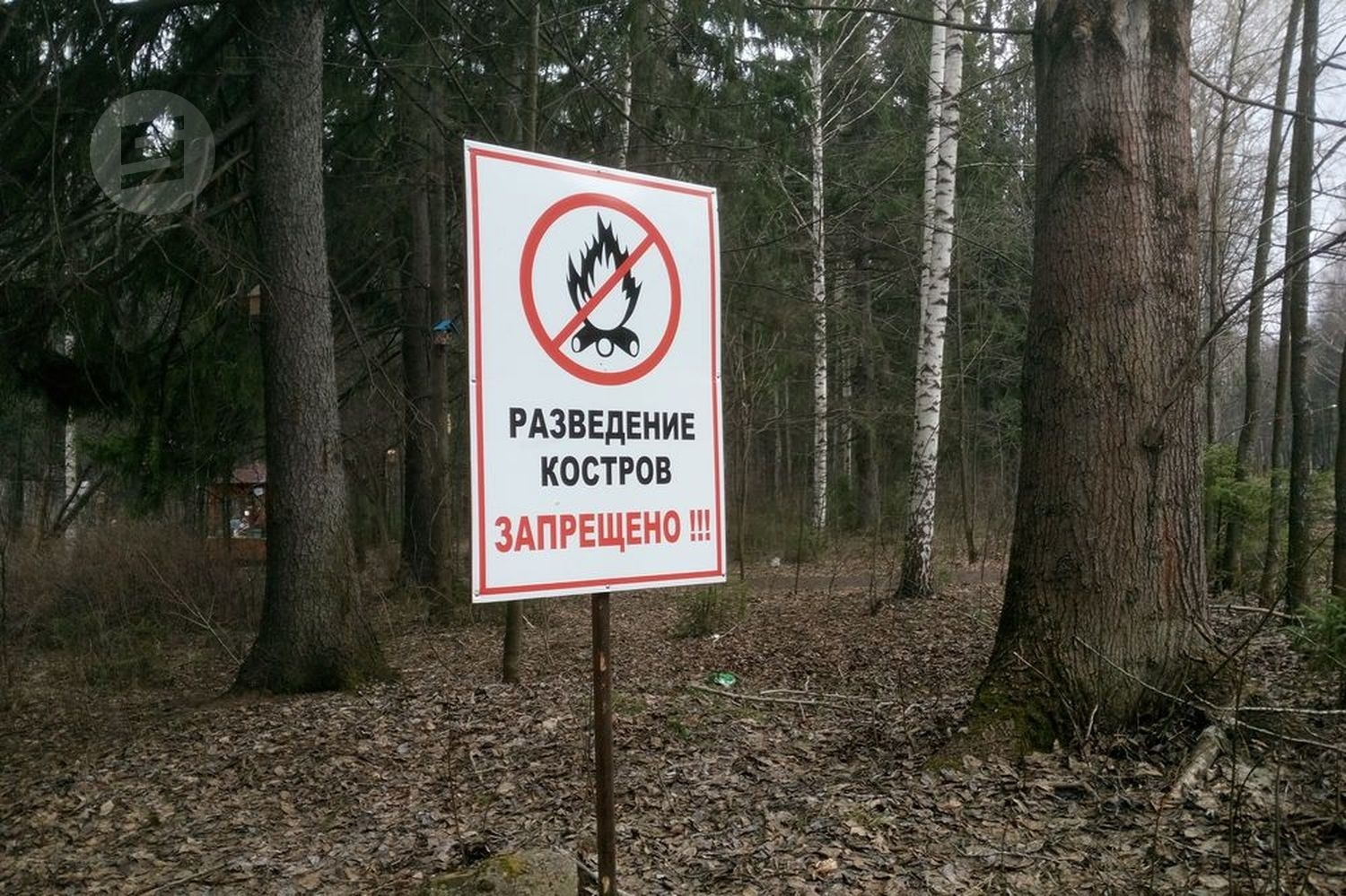 Во Владимирской области планируют ввести особый противопожарный режим 