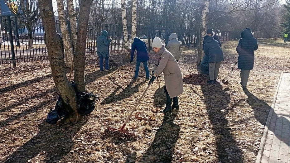 Во Владимирской области подвели итоги первого в 2025 году субботника