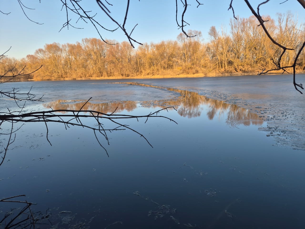 На озере в Муроме погиб подросток